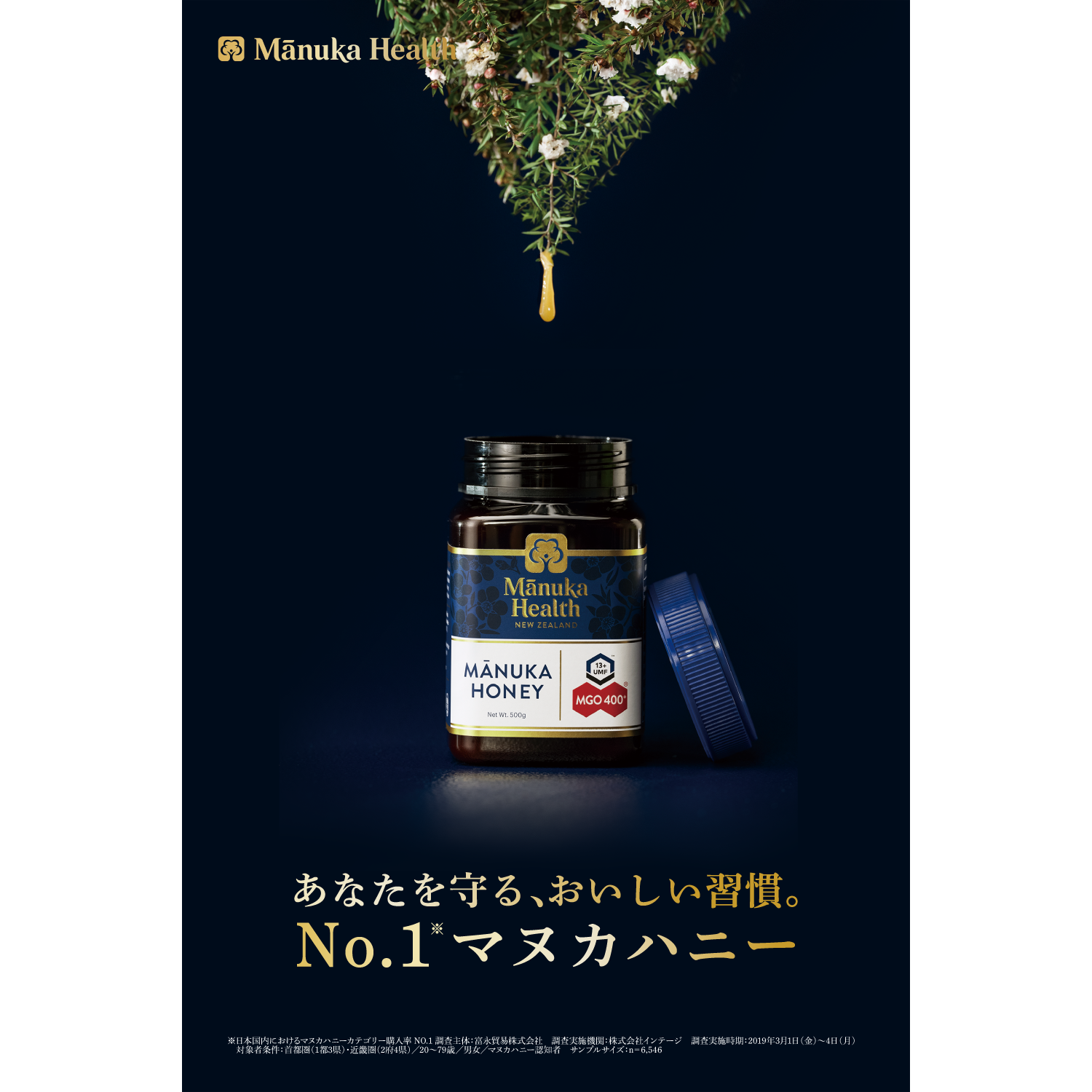 クリスマス大幅値下げ☆セール☆マヌカハニーMGO115 500g 36個3 クリスマス大幅値下げ☆セール☆マヌカハニーMGO115 500g 36個3
