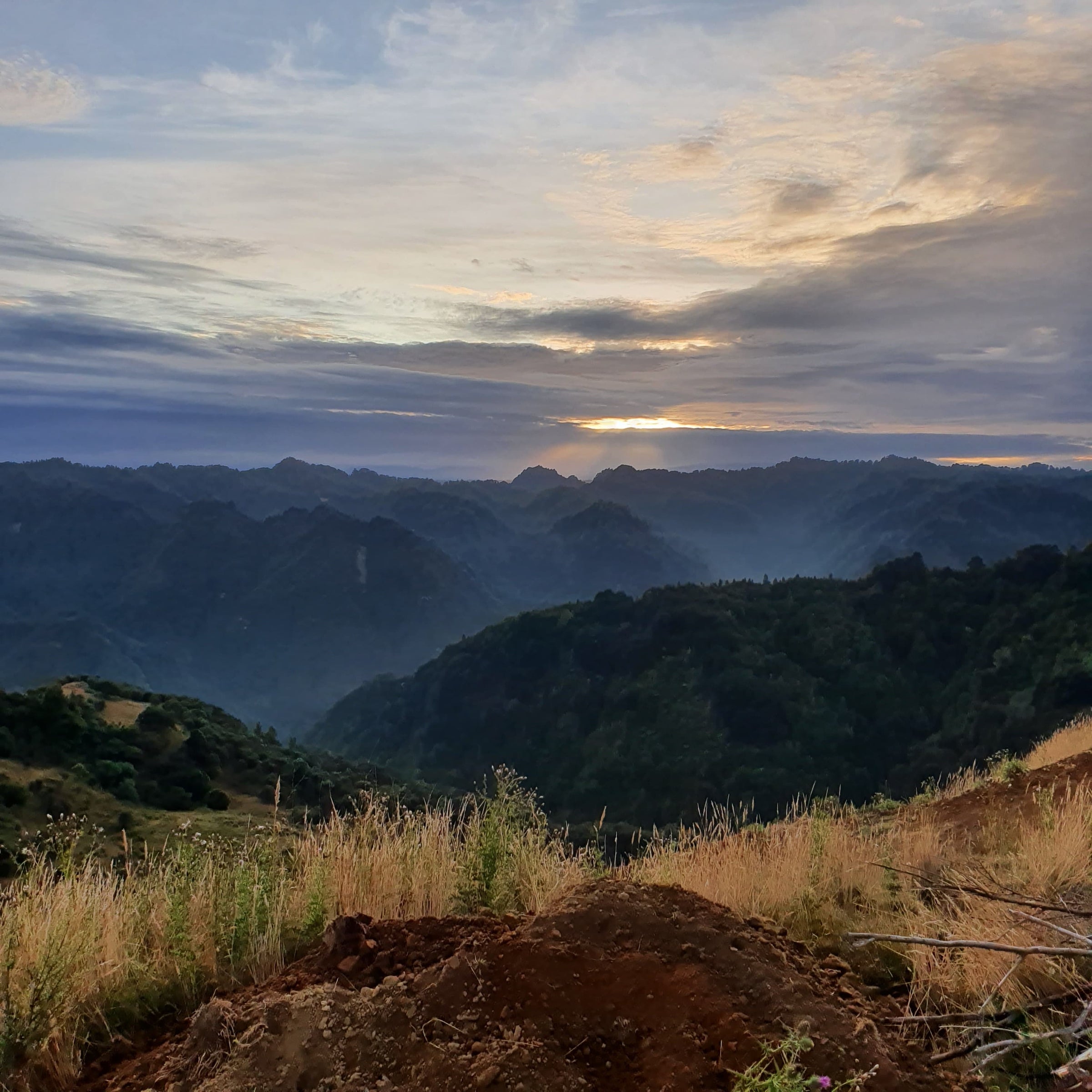 生産地 | MANUKAHEALTH公式オンラインショップ | MANUKAHEALTH公式